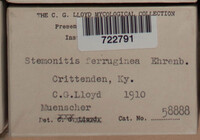 Image Associated With the Occurence